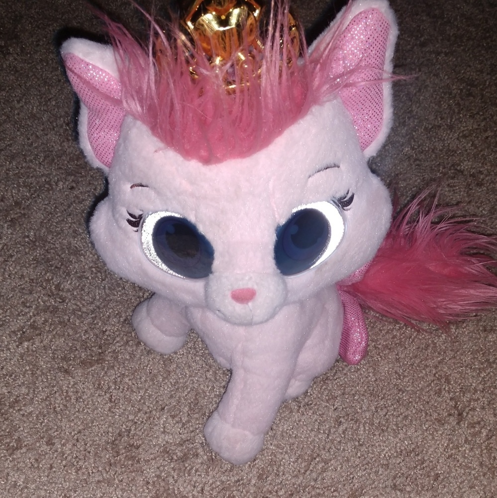 Pink palace pets kitten